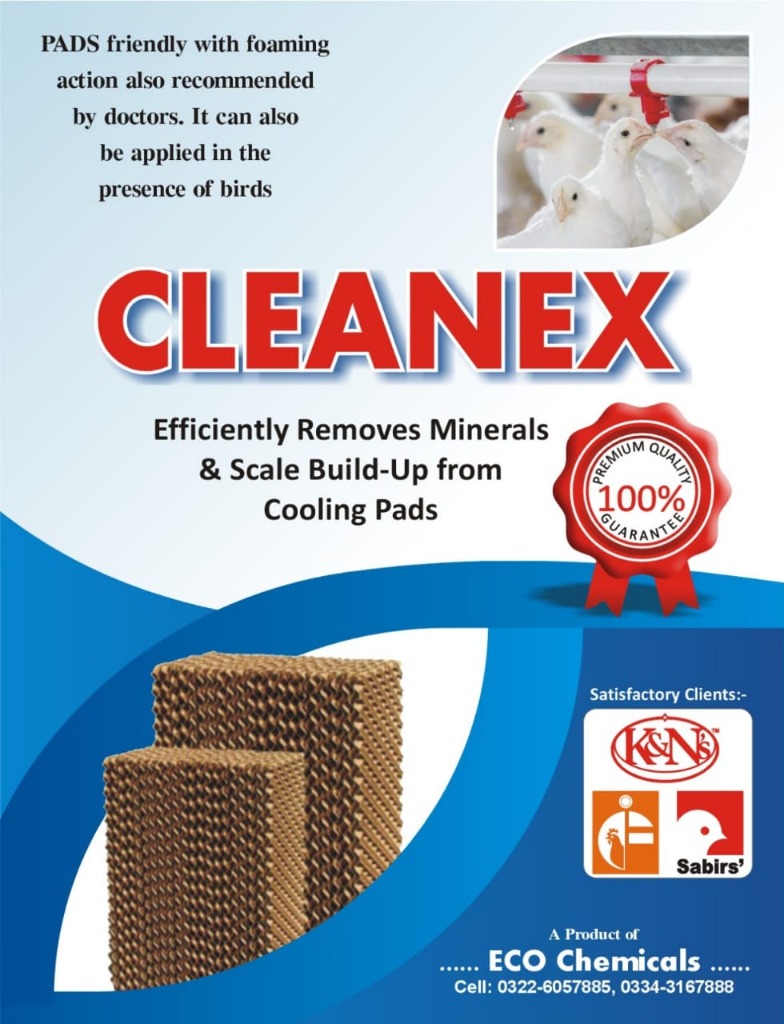 ECO Chemicals Cleanex Brochure